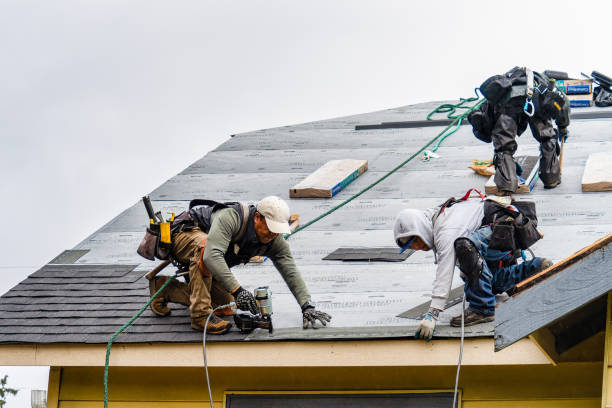 Professional Roofing technician working in Westport, WA